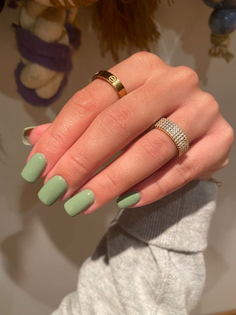 Square Green Nails Acrylic, Green Coffin Short Nails, Short Green Manicure, Gel Nail Plain Colors, Square Acrylic Nails Sage Green, Solid Color Green Nails, Pastel Green Nails Square, Short Light Green Acrylic Nails, Pastel Gel Manicure