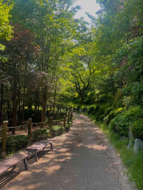 #seoul #korea #nature #forest #park Nature, Seoul Forest Park, Korean Forest, Korea Forest, Seoul Landscape, Korean Nature, Seoul Park, South Korea Nature, Seoul Forest