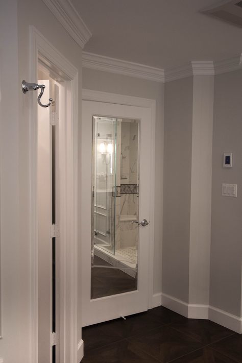 Great location for a full length mirror built into the  bathroom door#bathroommirror#bathroomdecor#bathroomremodel#bathroomdesign#metrodc#fairfaxvirginiabathroomremodeling Bathroom Door Mirror, Door Mirror Ideas, Full Length Mirror In Bathroom, Eco Houses, Door Moulding, Laundry Room Doors, Perfect Bathroom, Bedrooms Ideas, Bathroom Door