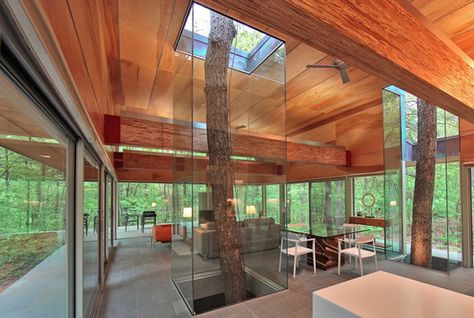 10 Houses Built Around Trees Glass Walls, Patio Interior, Design Del Prodotto, Natural Home Decor, Cool Ideas, Style At Home, Decor Rustic, Future House, My Dream Home