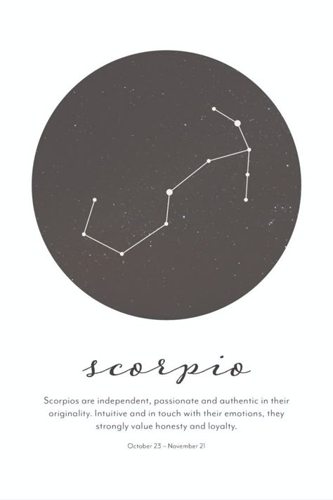 November Star Sign, Scorpio Star Constellation, Scorpio Zodiac Constellation, Star Constellation Tattoo, Constellation Scorpio, Grace Tattoos, Astrology Poster, Esoteric Astrology, Scorpio Star