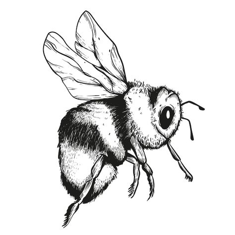 Free vector hand drawn bee drawing illus... | Free Vector #Freepik #freevector #bee-drawing #animal-coloring #animal-drawing #drawing Bee Coloring, Bee Sketch, Honey Bee Tattoo, Bee Coloring Pages, Bee Drawing, Bee Clipart, Stippling Art, Buzzy Bee, Bee Illustration