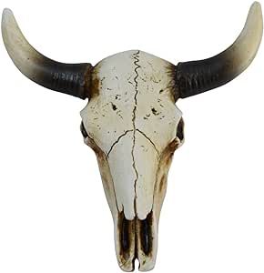 Steer Skull Decor, Western Signs, Bison Skull, Western Wall Decor, Skull Wall Decor, Steer Head, Texas Decor, Head Skull, Buffalo Skull