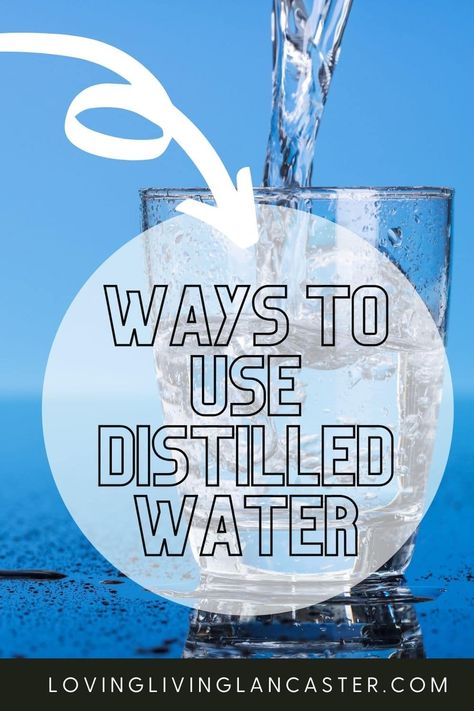 Using distilled water can have several benefits beyond just drinking. From household cleaning to personal hygiene, distilled water can play a vital role in improving your family's health and wellbeing. In this article, we'll share ten reasons why you should be using distilled water. Distilled Water Benefits, Homeschool Science Experiments, Canning Fruit, No Bake Pumpkin Cheesecake, Diy Beauty Treatments, Water Benefits, Diy Home Cleaning, Marshmallow Pops, Christmas Food Desserts