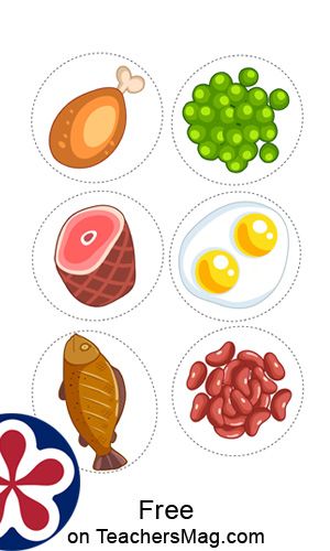 Food Sorting Preschool Free Printable, Plate Of Healthy Food, Healthy Food Images, Food Groups For Kids, Healthy Food Clipart, My Food Plate, Healthy Foods For Kids, Foods Printable, Healthy Food For Kids