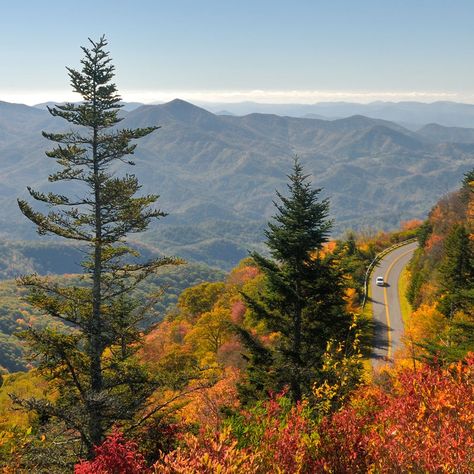 Fall North Carolina, Autumn North Carolina, North Carolina Fall, Waxhaw North Carolina, Mountains In North Carolina, Fall Mountains, Moravian Falls North Carolina, Franklin North Carolina, North Carolina Blue Ridge Mountains