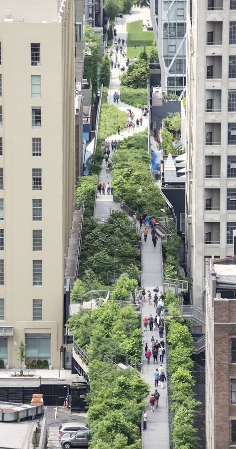 High Line in New York City New York High Line, Formal Garden Design, Linear Park, Urban Landscape Design, High Line, Green City, Park Art, City Design, Futuristic Architecture