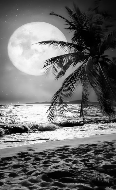 Beach Night Tattoo, Beach Tattoo Drawing, Night Beach Tattoo, Black And White Beach Tattoo, Black And Grey Beach Tattoo, Beach Scene Tattoo Design, Palm Tree Scene Tattoo, Strand Tattoo, Scenery Tattoo