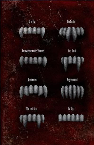 Different types of #vampire fangs Vampire Fang Aesthetic, Underworld Vampire, Werewolf Fangs, Vampire Drawings, Windows To The Soul, Vampire Masquerade, Vampire Stories, Wolf Teeth, Vampire Movies