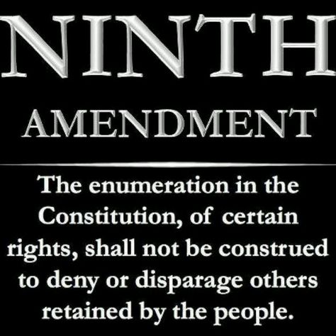 9th amendment Teaching Government, American Constitution, Federalist Papers, Constitutional Amendments, Truth And Justice, Bill Of Rights, History Timeline, Constitutional Rights, David J