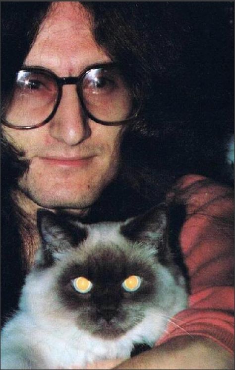 Geddy Lee Not quite a tabby. Rush Geddy Lee, Rock Pets, Legend Cat, Rush Concert, Rush Band, Geddy Lee, Demon Eyes, Best Rock Bands, Champions Of The World