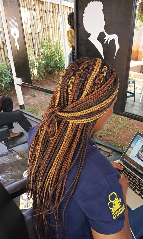 Uzuri tricolor box braids Tricolor Knotless Braids, Multicolored Box Braids, Fall Color Box Braids Black Women, Tri Color Braids, Multicolored Braids Black Women, Box Braids With Different Colors, Multicolor Box Braids, Fall Color Box Braids, Fall Color Braids