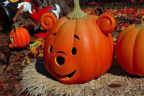 Pooh Pumpkin, Winnie The Pooh Pumpkin, Winnie The Pooh Halloween, Disney World Halloween, Halloween Crafting, Creative Pumpkin Carving, Pumpkin Contest, Pumpkin Pictures, Halloween Pumpkin Designs