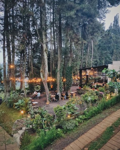 Forest Design Landscape, Coffee In The Forest, Forest Cafe Outdoor, Cafe Forest Design, Forest Restaurant Design, Forest Cafe Design, Nature Cafe Design, Forest Resort Ideas, Cafe In Forest