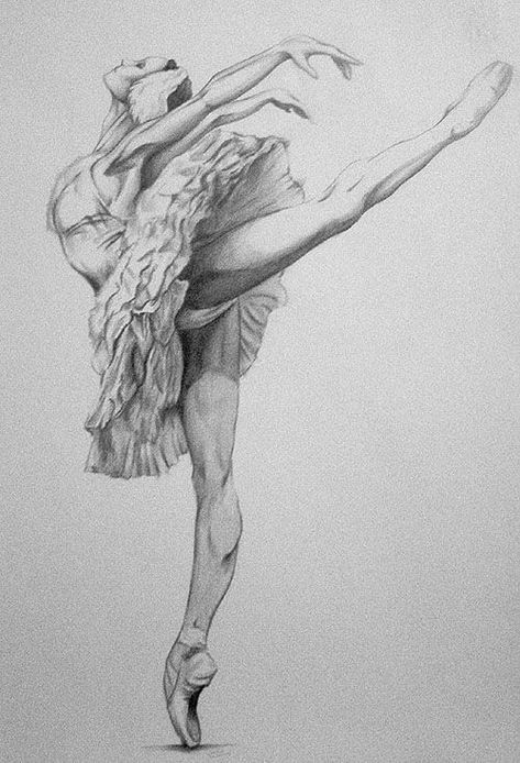 Ballet Arabesque1 Sketch of a graceful ballerina in an extended arabesque pose, wearing a ruffled tutu, showcasing elegance and poise. | Sky Rye Design Ballerina Drawing Sketches, Ballerina Drawings, Ballet Dancer Drawing, Poses For Artists, Ballerina Art Paintings, Ballerina Sketch, Dance Drawing, Dancer Drawing, Ballet Drawings