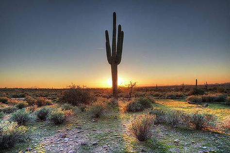 Sunset At Desert Print by Tonic Photo Studios Sunset Wall, Landscape Mode, Desert Sunset, Create Your Own Wallpaper, Standard Wallpaper, Sunset Wallpaper, Fish Painting, Popular Wallpaper, Planner Ideas