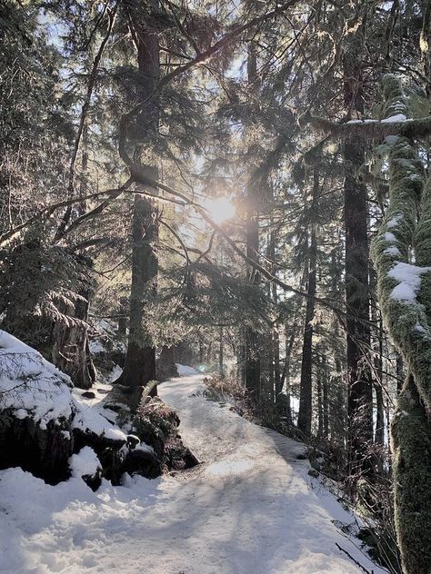 winter hayle • the lunar chronicles by marissa meyer Winter Hayle, Photography Snow, The Lunar Chronicles, Mountain Aesthetic, Mountains Aesthetic, Mountain Snow, Lake Side, Marissa Meyer, Winter Mountain