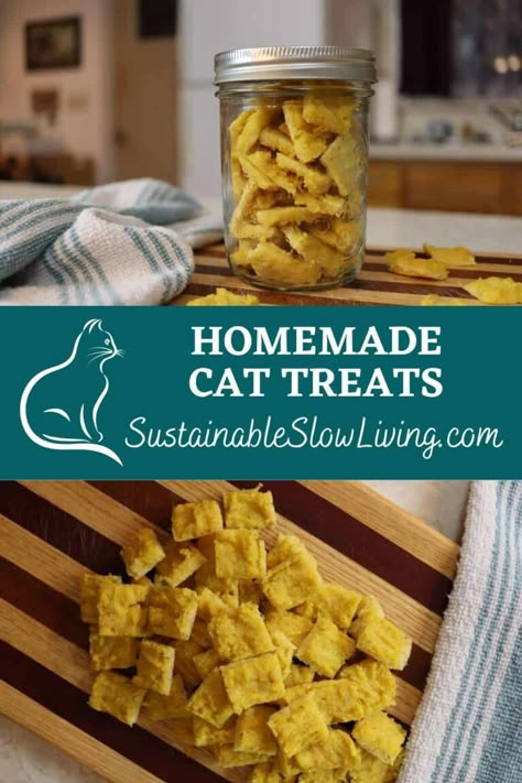 Homemade Cat Treats That Are Easy To Make || Cats Love Them - Sustainable Slow Living Vegan Cat Treats Recipe, Shelf Stable Cat Treats, Homemade Lickable Cat Treats, Cat Snacks Homemade, Dehydrated Cat Treats, Cat Snacks Diy, Chicken Cat Treats Homemade, Easy Cat Treats, No Bake Cat Treats