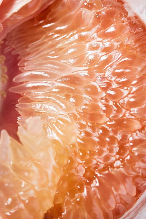 Moroccan Radicchio + Pomelo Salad / Hello My Dumpling by Jenny Huang Radicchio Salad, Food Texture, Fruit Photography, Texture Inspiration, Texture Photography, Wallpaper Ipad, Wallpaper Pastel, Wallpaper Android, Orange Aesthetic