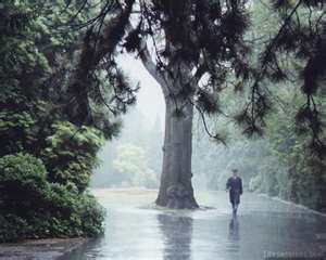 in the park Rain Morning, Rain Paintings, Rainy Day Pictures, The Smell Of Rain, Rainy Days And Mondays, Rain Thunder, Playing In The Rain, Walk In The Rain, I Love The Rain