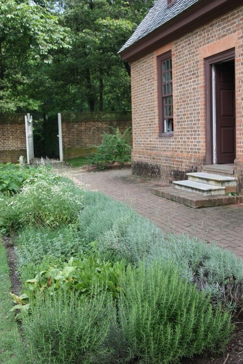 Evergreen Herbs: Lavender, Sage, Rosemary, and Thyme Herb Garden Front Yard, Front Herb Garden, Lavender Rosemary Thyme Garden, Lavender Sage Rosemary Garden, Rosemary Front Yard, Landscaping With Herbs Front Yards, Herb Front Garden, Lavender And Herb Garden, Rosemary Border Garden