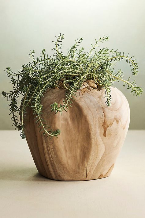 Carved from natural teak and left unfinished to showcase the organic shape of the wood, these low-maintenance planters make one-of-a-kind homes for succulents and drop-in plants. | Teak Root Shoulder Planter in Beige, Size: 12" at Terrain Big Leaf Indoor Plant, Earthy Home Decor, Floor Bathroom, Organic Wood, Big Leaves, Easter Shopping, Wooden Storage, Nature Decor, Diy Wood Projects