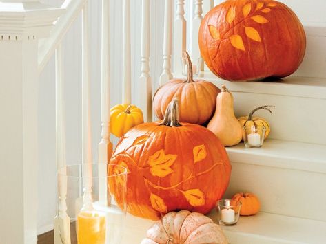 Etched Pumpkin Decor Idea for Autumn #autumndecor #falldecorideas #pumpkindecor Pumpkin Etching, Pumpkins And Gourds, Pumpkin Carver, Easy Pumpkin Carving, Fall Decorating Ideas, Pumpkin Display, Pumpkin Topiary, Halloween Pumpkin Designs, Halloween Pumpkins Carvings