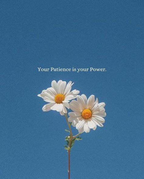 Bookthoughs on Instagram: "Yes or not 🚫 . . . 📸:-@of.suso" Your Patience Is Your Power, Nature Quotes Beautiful, Good Vibes Wallpaper, Words Positive, Keep Going Quotes, Be Resilient, Believe In Yourself Quotes, Positive Quotes Wallpaper, Tiny Quotes