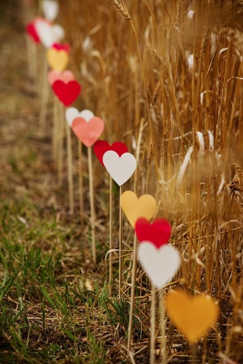 Ceremony Decorations from an Elegant Farm Wedding in Rosedale, Manitoba. Homemade Wedding Decorations, Wedding Aisles, Rustic Wedding Decorations, Wedding Decorations On A Budget, Homemade Wedding, Wedding Expenses, Outdoor Wedding Decorations, Ceremony Venue, Wedding Aisle