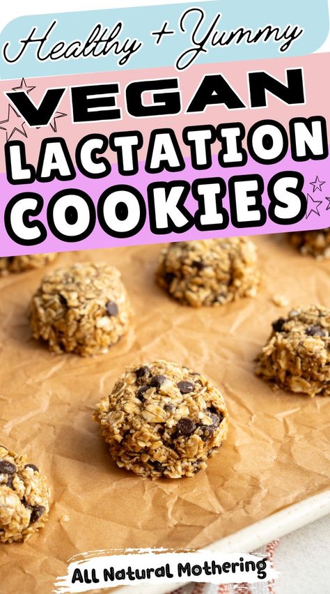 The best recipe for healthy dairy free lactation cookies. These vegan lactation cookies are so tasty, great to increase milk supply fast, and easy to make. Simple lactose free breastfeeding cookie recipe to increase breastmilk supply. Dairy Free Lactation Recipes, Lactation Recipes Easy, Breastmilk Cookies, Dairy Free Lactation Cookies, Increase Milk Supply Fast, Breastfeeding Cookies, Healthy Lactation Cookies, Lactation Cookies Recipe, Oatmeal Chocolate Chip Cookie Recipe