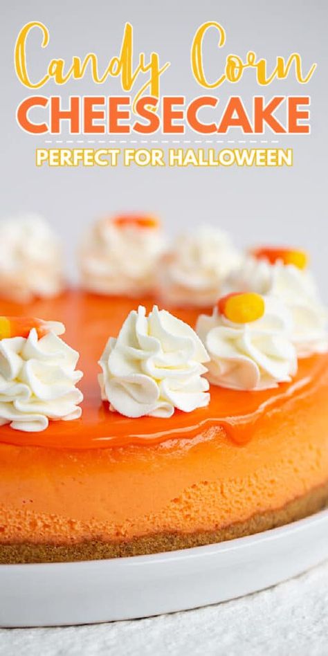 Candy Corn Cheesecake, Recipes Using Candy Corn, Fall Cheesecake Flavors, Cheesecake Unique, Unique Cheesecake Flavors, Cheesecake Board, Cheesecake Business, Candy Corn Recipes, Savory Cheesecakes