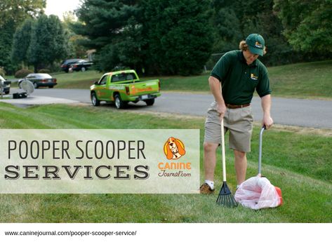 Pet Waste Station, Pet Waste Bags, Pooper Scooper, Removal Company, Cheap Car Insurance, Up Dog, Dog Projects, Pet Insurance, Healthy Pets