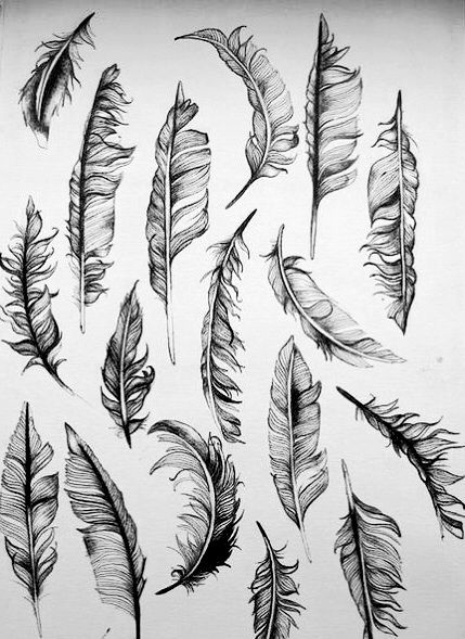 inspiration Tattoo Feather, Tattoos Pinterest, 2 Tattoo, Feather Drawing, Tattoo Board, Muster Tattoos, Sketch Tattoo, Initial Tattoo, Feather Tattoo