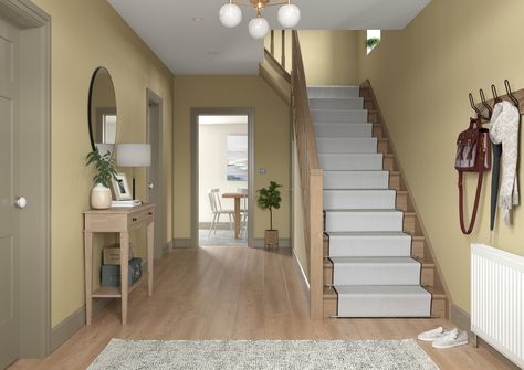 Hallway Colour Schemes, Hallway Paint Colors, Dulux Paint Colours, Hallway Paint, Hallway Colours, Dulux Paint, Painted Ceiling, Color Of The Year, Colour Schemes