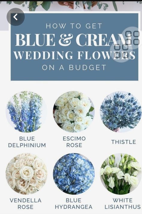 Baby Blue Weddings, Blue Wedding Decorations, Blue White Weddings, Something Blue Bridal, Blue Bridal Shower, Light Blue Wedding, Blue Themed Wedding, Blue Wedding Flowers, Cream Wedding