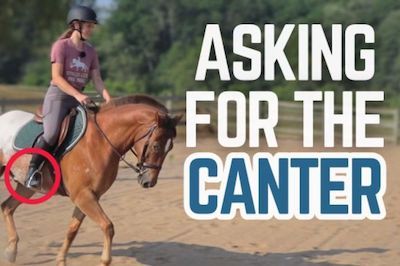 How to Ask Your Horse to Canter: Step-by-Step Guide English Horseback Riding, Dressage Training, Horse Exercises, Horse Facts, Horse Riding Tips, Horseback Rider, Western Life, Riding Lessons, English Riding