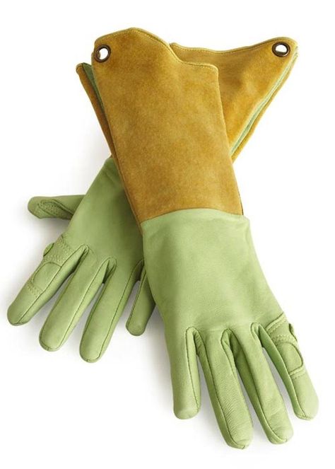 Womens Hands, Leather Gardening Gloves, Garden Gloves, Rose Bushes, Gardening Trends, Gloves Design, Garden Tool Set, Garden Equipment, Gardening Gloves