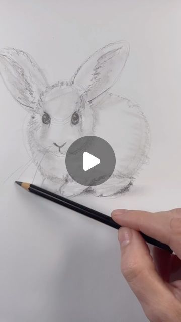 Mark Liam Smith on Instagram: "Draw a rabbit 🐇 Easy drawing lesson for beginners on how to draw a rabbit. #drawinglesson #howtodraw" How To Draw A Rabbit Step By Step, Rabbit Easy Drawing, Draw A Rabbit Easy, Draw A Rabbit, Rabbit Drawing, Drawing Lesson, Easy Drawing, June 16, Drawing Lessons