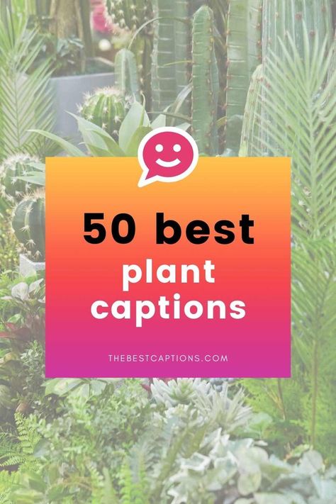 Plants Quotes Life Inspiration, Plant Captions, Plant Instagram, Flower Captions, Flower Captions For Instagram, Plant Quotes, Life Captions, Make Me Happy Quotes, Dreamy Flowers