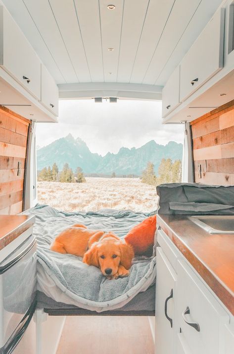 Van Life With Dog, Van Life Dog, School Bus Camper, Kombi Home, Living On The Road, Van Home, Van Living, Travel Van, Camper Life