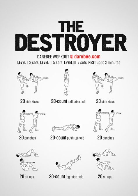 The Destroyer workout. Darbee Workout, Combat Moves, Military Workout, Mma Workout, Trening Sztuk Walki, The Destroyer, Fitness Routines, Kickboxing Workout, Exercise Program