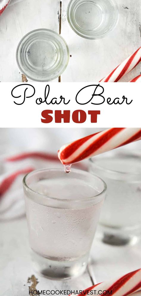 Winter Shot Recipes, Peppermint Jello Shots, Easy Christmas Shots Recipes, Winter Shots Alcohol, Make Ahead Shots For A Crowd, Christmas Themed Shots, Easy Christmas Shots, Holiday Shots Alcohol, Christmas Shooters