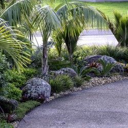 Planting - Plantpro & Sons Native Garden Ideas, Nz Native Garden, Garden Ideas Nz, Landscaping Driveway, Small Tropical Gardens, Native Gardens, Urban Gardens, Plant House, Native Plant Gardening