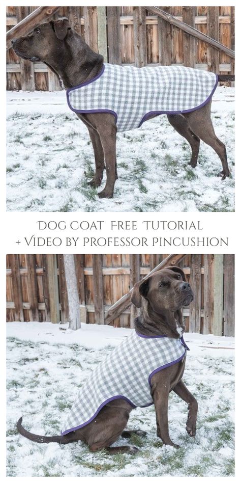 8 DIY Fabric Dog Coat Free Sewing Patterns | Fabric Art DIY Dog Jacket Pattern Free, Dog Jacket Patterns, Large Dog Coats, Dog Clothes Patterns Sewing, Fabric Art Diy, Large Dog Sweaters, Dog Coat Pattern, Small Dog Coats, Dog Sewing Patterns