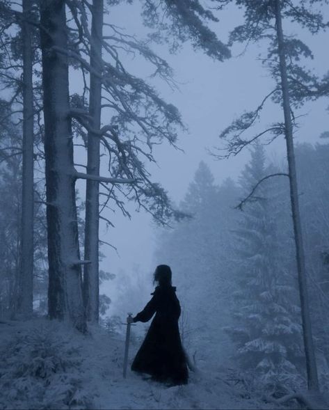 Figure Woman, Snow Aesthetic, Dark Christmas, Fantasy Photography, Winter Magic, Witch Aesthetic, Fantasy Aesthetic, Dark Photography, Winter Aesthetic