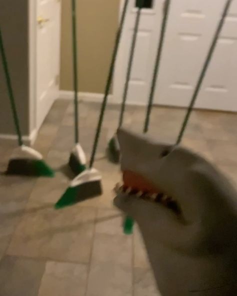 Shark Puppet ✪ on Instagram: “THE BROOMS ATTACK!!!!! - - -Backup @thesharkpuppet - - - - - - #meme #memes #dankmeme #dankmemes #edgy #edgymemes #doggo #offensivememes…” Shark Puppet, Brooms, Edgy Memes, Dankest Memes, Puppets, Memes, On Instagram, Instagram