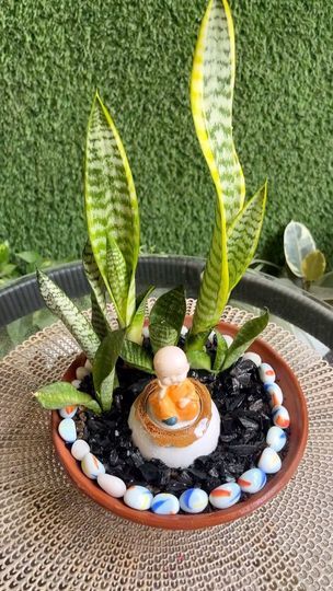 85K views · 17K reactions | Bringing tranquility home with my DIY Buddha Tray Garden💚  🌱LIKe Save Share with plant buddies   ✔�️Follow @letskraftify for more  [ miniature garden, bonsai, plants, tray garden, diy project, zen garden, snake plant]  . . . . . . #letskraftify #miniaturegarden #traygarden #gardendecor #snakeplant #zencorner #mygreentreasure #plantsdecor #plantsmakemehappy #bonsai #plantsreel #buddhadecor #explorepage✨ #explore_yourdecor #xplore99x | Shilpi (LetsKraftify) | A.R. Rahman · Dheeme Dheeme Miniature Garden Diy, Plant Buddies, Garden Snake, Miniature Zen Garden, Garden Bonsai, Mini Zen Garden, Miniatures Diy, A R Rahman, Buddha Decor