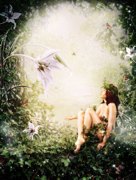 Spring Forest Nymph • Brandy Martin Fairy Whispers, Happy Birthday Fairy, Charlotte Bird, Dark Fairy Core, Fairy Grunge Aesthetic, Dark Fairycore, Witch Core, Dark Hedges, Grunge Fairycore