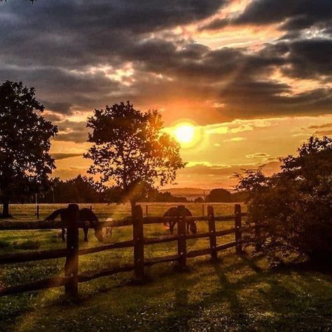 Sunrise Farm Photography, Country Settings Pictures, Sunset Photo Background, Sunrise On The Farm, Farm Sunset Photography, Beautiful Country Scenery, Sunset Farm Aesthetic, Horse Farm Aesthetic, Sunset On Farm