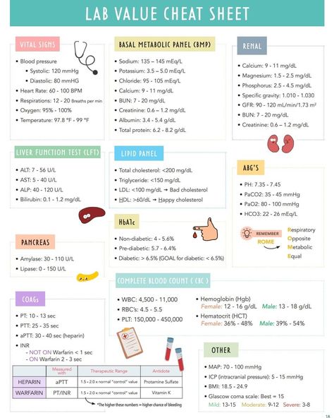 Normal Lab Values, Nursing School Studying Cheat Sheets, Nursing Labs, Medical Terminology Study, Medical Assistant Student, Nursing School Essential, Nursing Study Guide, Medical School Life, Nursing School Motivation